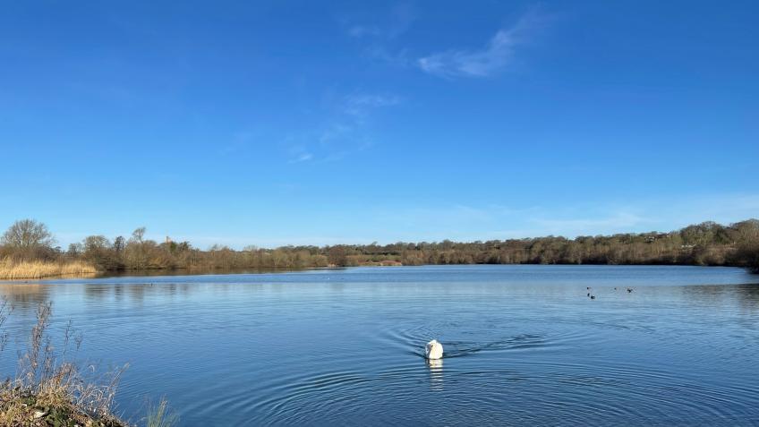 Let's Clean Up The Lake!