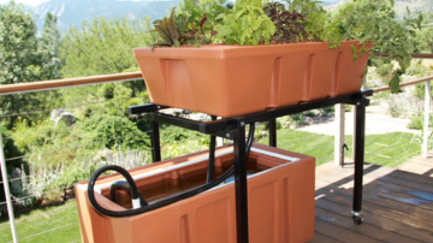 Organic Self- Sufficient Food