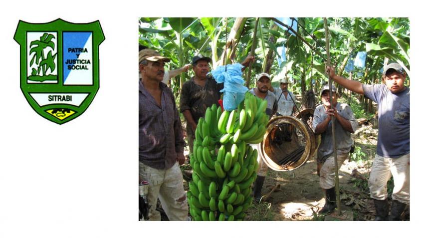 Help SITRABI celebrate their 75th anniversary