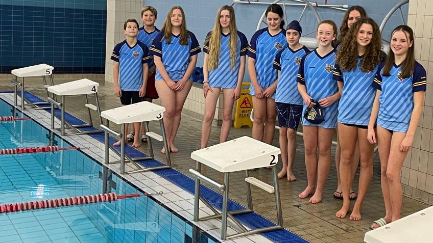 Olympic diving block fundraising appeal