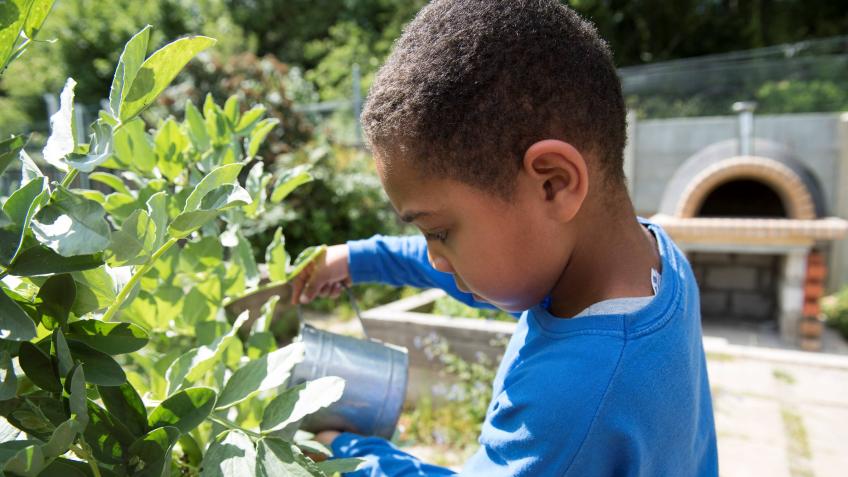 Breathe, Grow, Play - tackling toxic air