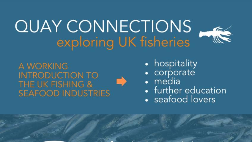 Quay Connections
