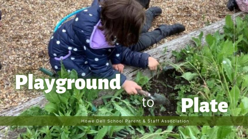 Playground to Plate