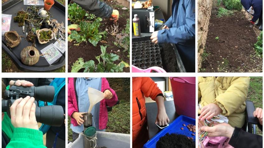 Special Needs School's Garden Enterprise Project