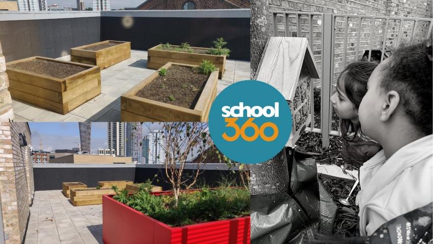 Help launch a primary school community food garden