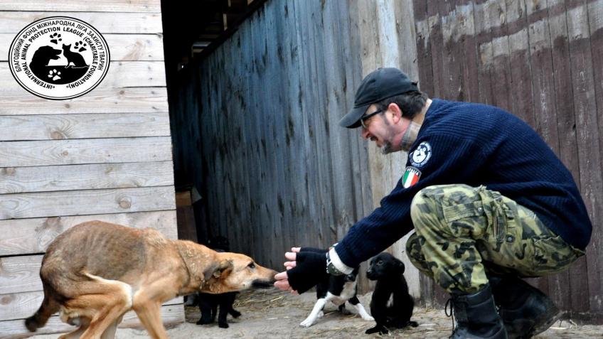 Help us support the 400 Ukraine animals