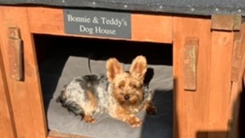 Memorial for Bonnie