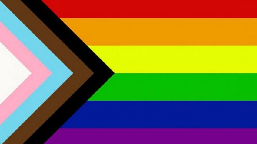 Legal Fees to fight against homophobic bullying
