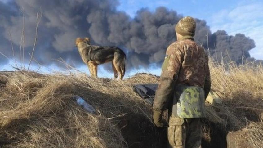 Donations for transport costs to Ukraine