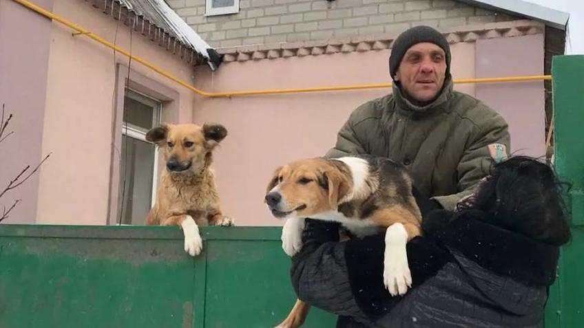 Ukraine animals: HELP THOSE LEFT BEHIND