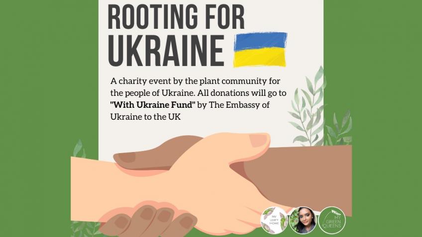 Rooting for Ukraine