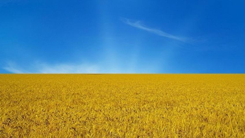 Humanitarian aid for Ukraine