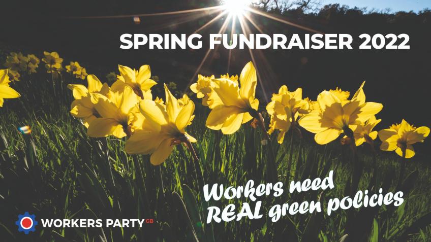 Spring Appeal