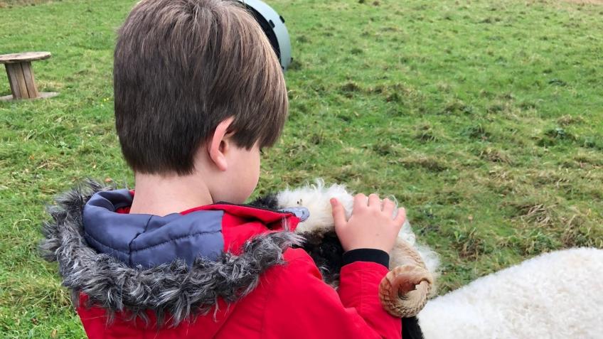SAVE-Animal Assisted Therapy for Mental Health