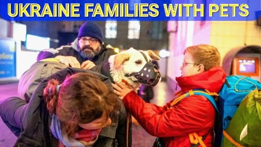 Ukrainian Families with Pets Support Fund