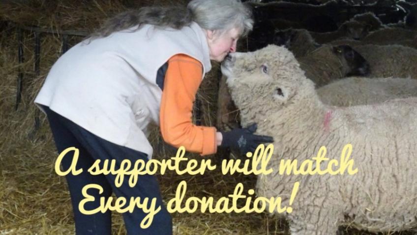 One Donation, Twice The Impact