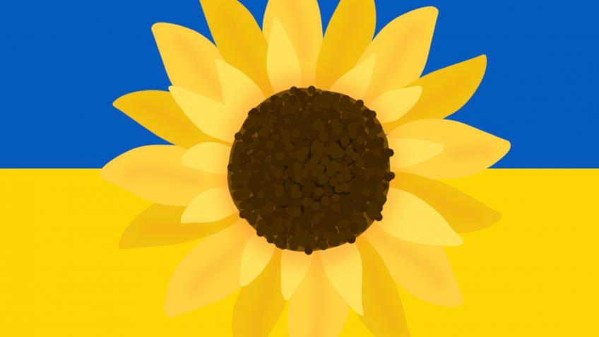 Flights for two Ukrainian refugees