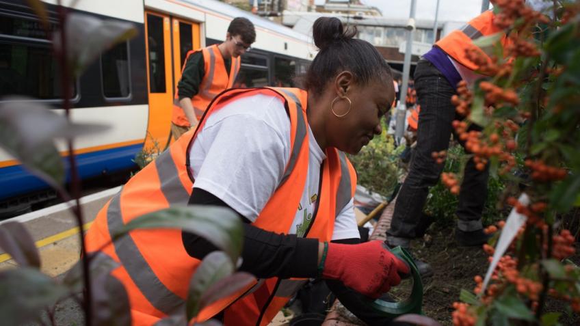 Empowering Communities from Seed to Solar Power