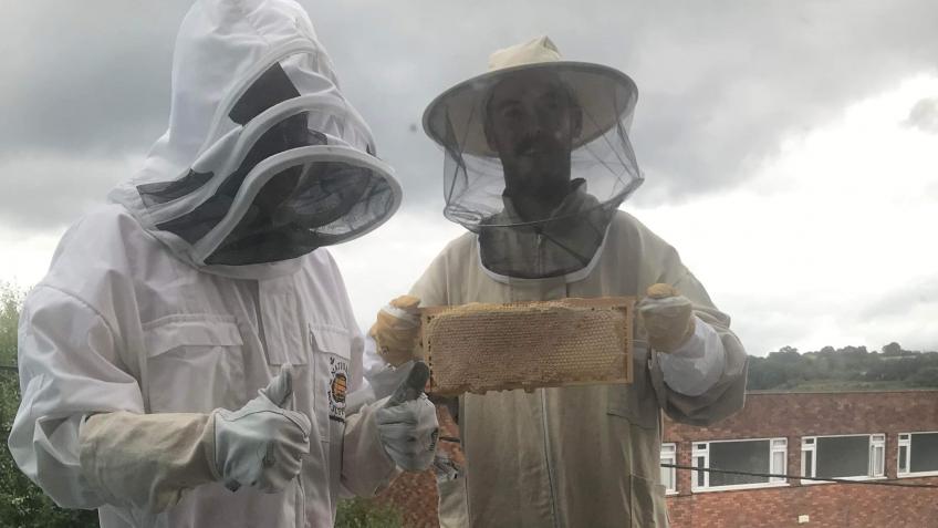 Sponsor a bee for 50p