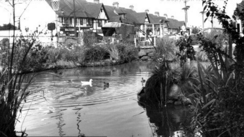 Hamsey Green Pond