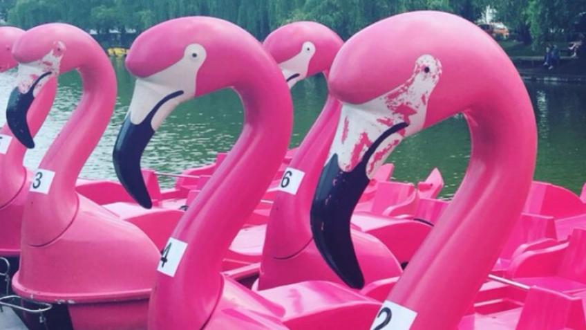 Pedalo to Space!