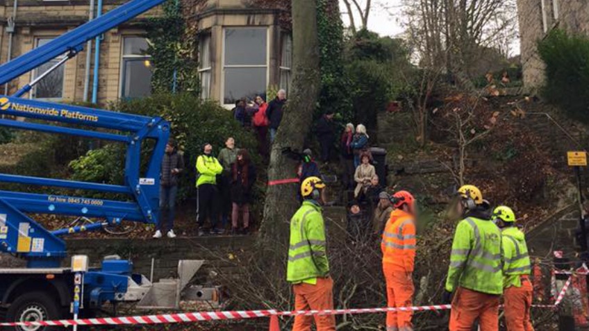 Sheffield Trees Legal Fund