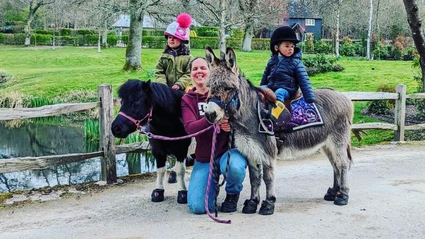 Pony Pals Hq