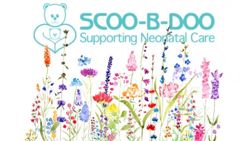 Scoo-b-doo sanctuary charity garden