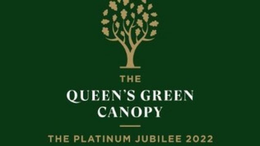 Seer Green Platinum Jubilee Trees