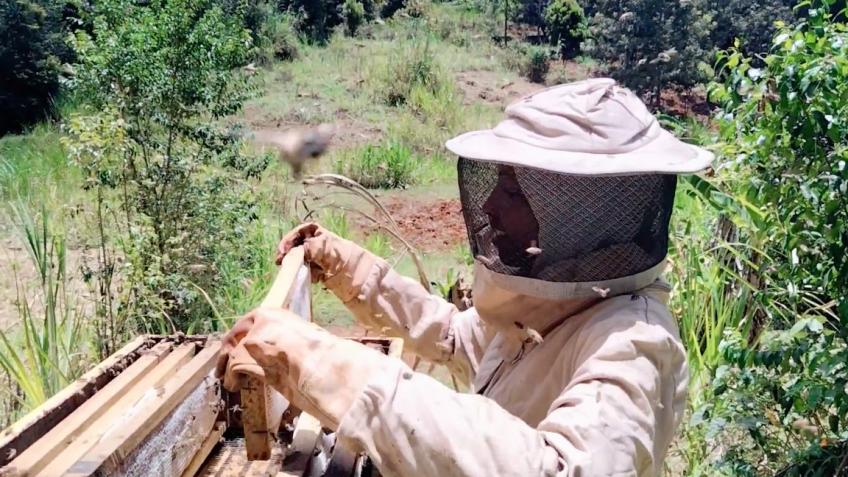 Help provide a future for African beekeepers