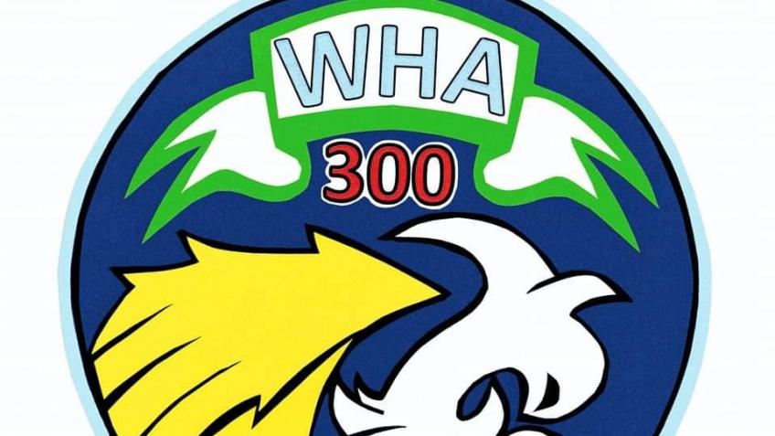 Wallace Hall Academy 300