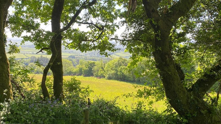 Creating Endangered Habitats -Traditional Orchards