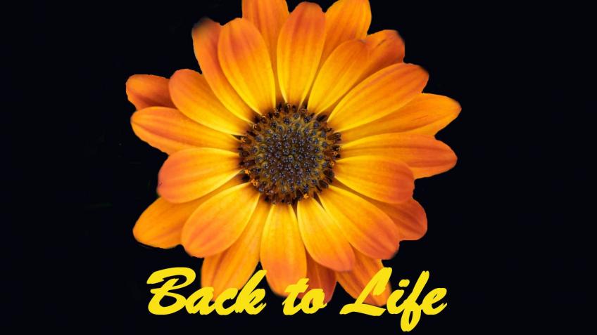 Back To Life Foundation