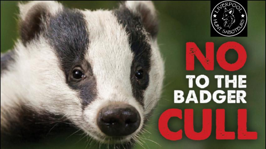 Fuel us to save badgers!