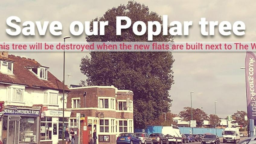 Save our Poplar tree