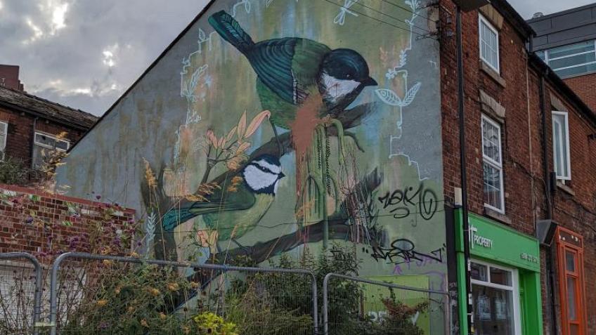 Repainting of Faunagraphic - City Centre Mural