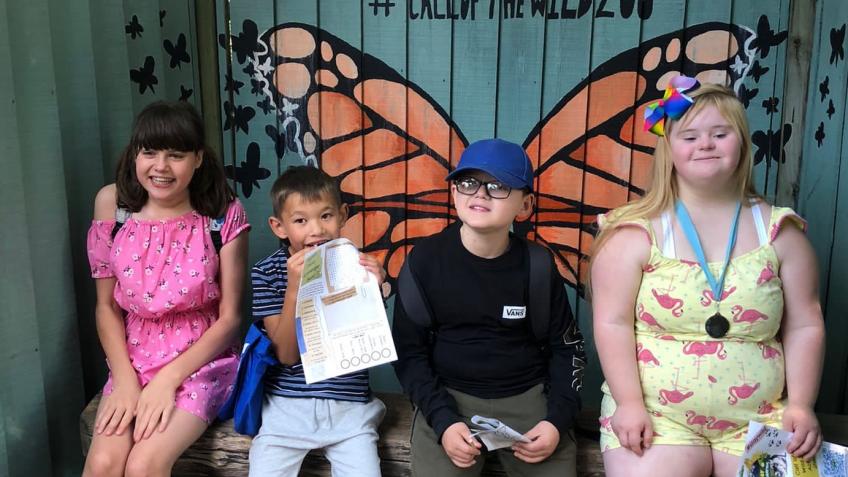 Butterflies Club Lifeskills Building Blocks