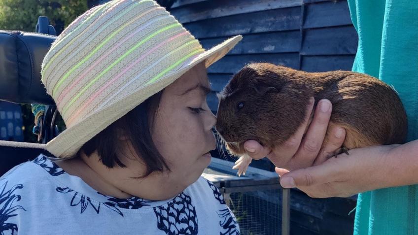 Erindale - Guinea Pig Village