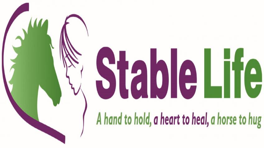Help Save Stable Life