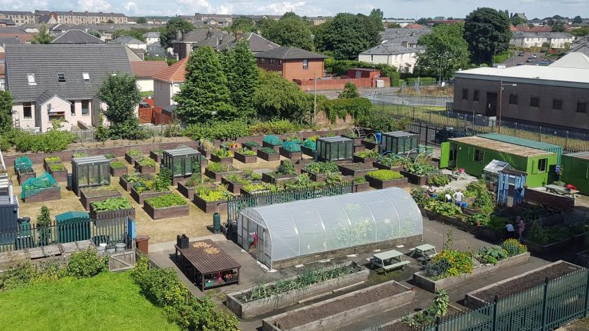 Shettlestons Growing Project for the future.