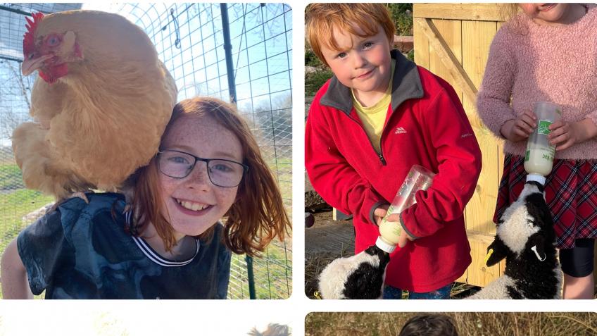 Trailer for animal visits to school & local groups