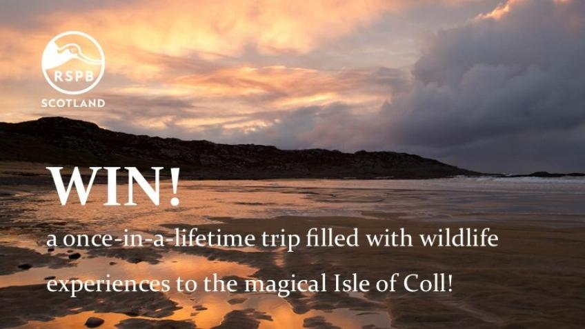 Win a magical trip to the dazzling Isle of Coll!