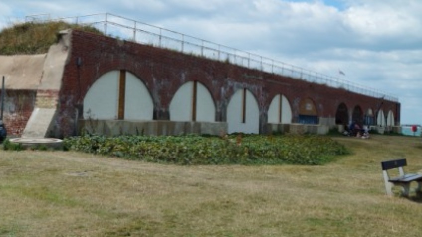 The Isle of Wight Reptilarium Project