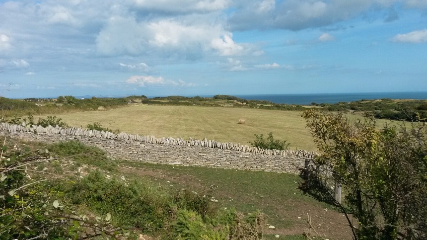 Fossil Free Dorset