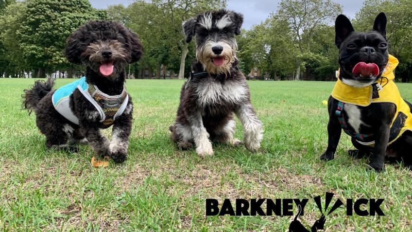 Help us build a Dog Grooming Salon at Barkney Wick