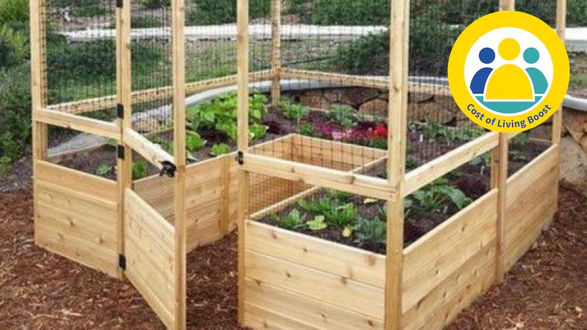 Empower disabled children to grow their own food