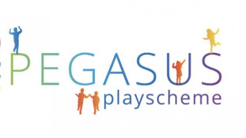 Laura Black -sponsored skydive for Pegasus.