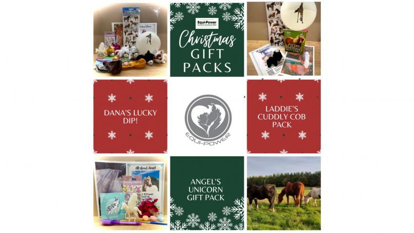 Equi-Power Christmas Gift Packs