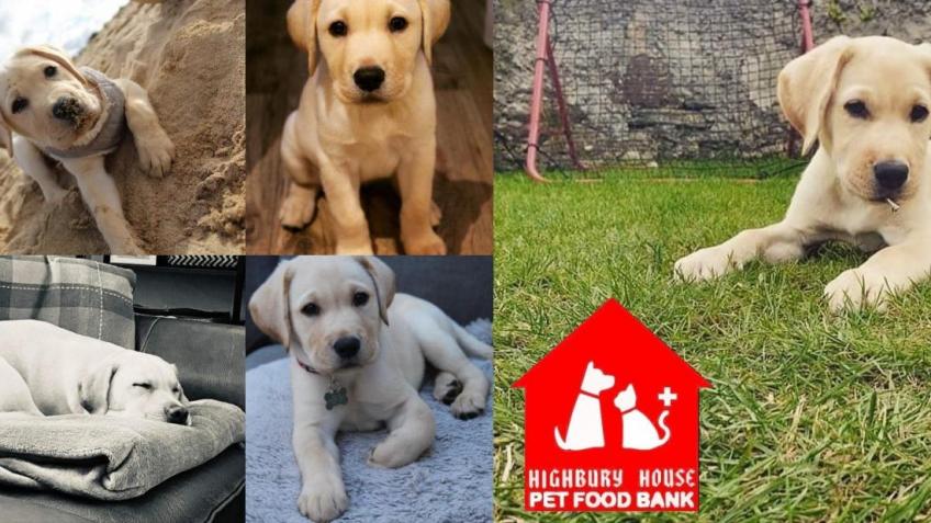 Highbury House Pet Food Bank