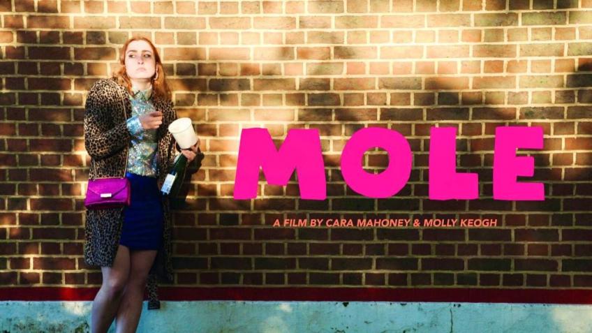 We need your help to raise funds for MOLE!